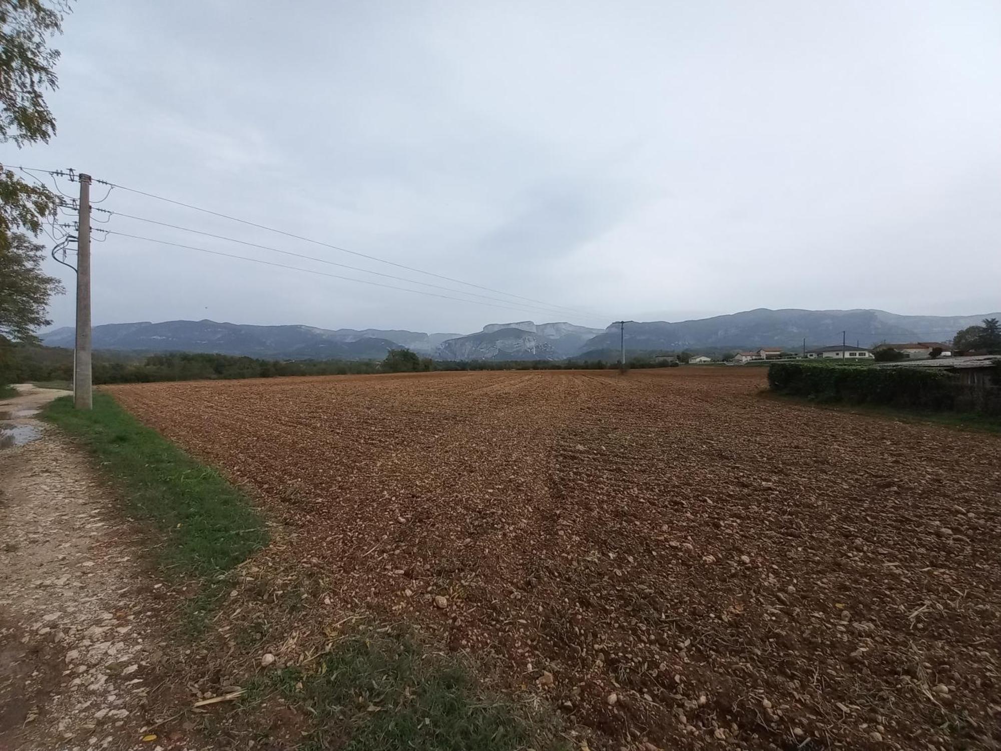 Royans-Vercors - Gite Chez Suzanne - 1-4 Personnes Saint-Thomas-en-Royans Dış mekan fotoğraf